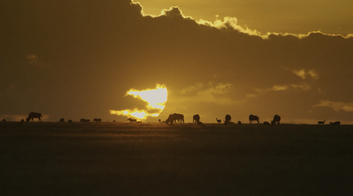 Moments from the Mara