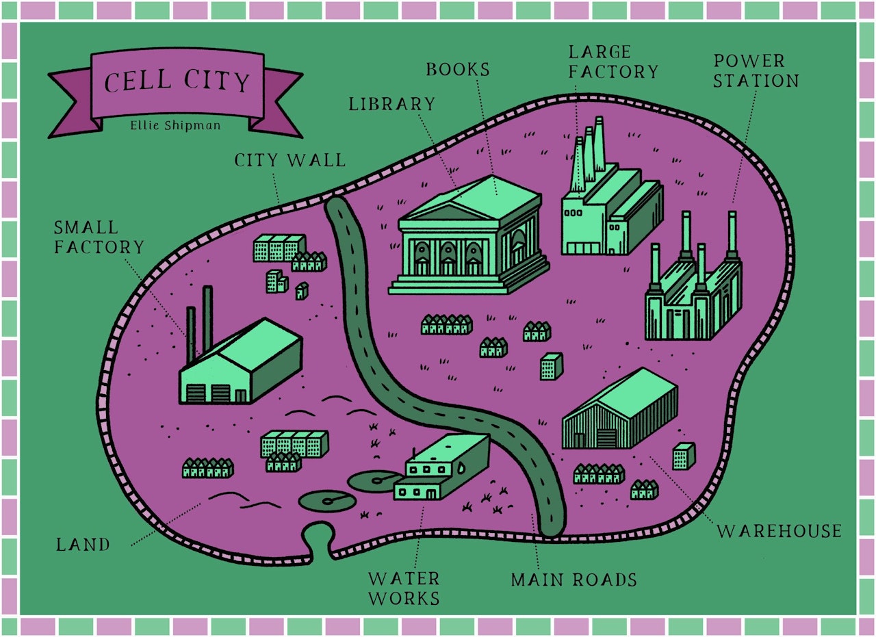 Cell City For The University Of Cambridge Ellie Shipman cell-city-for-the-university-of-cambridge-ellie-shipman