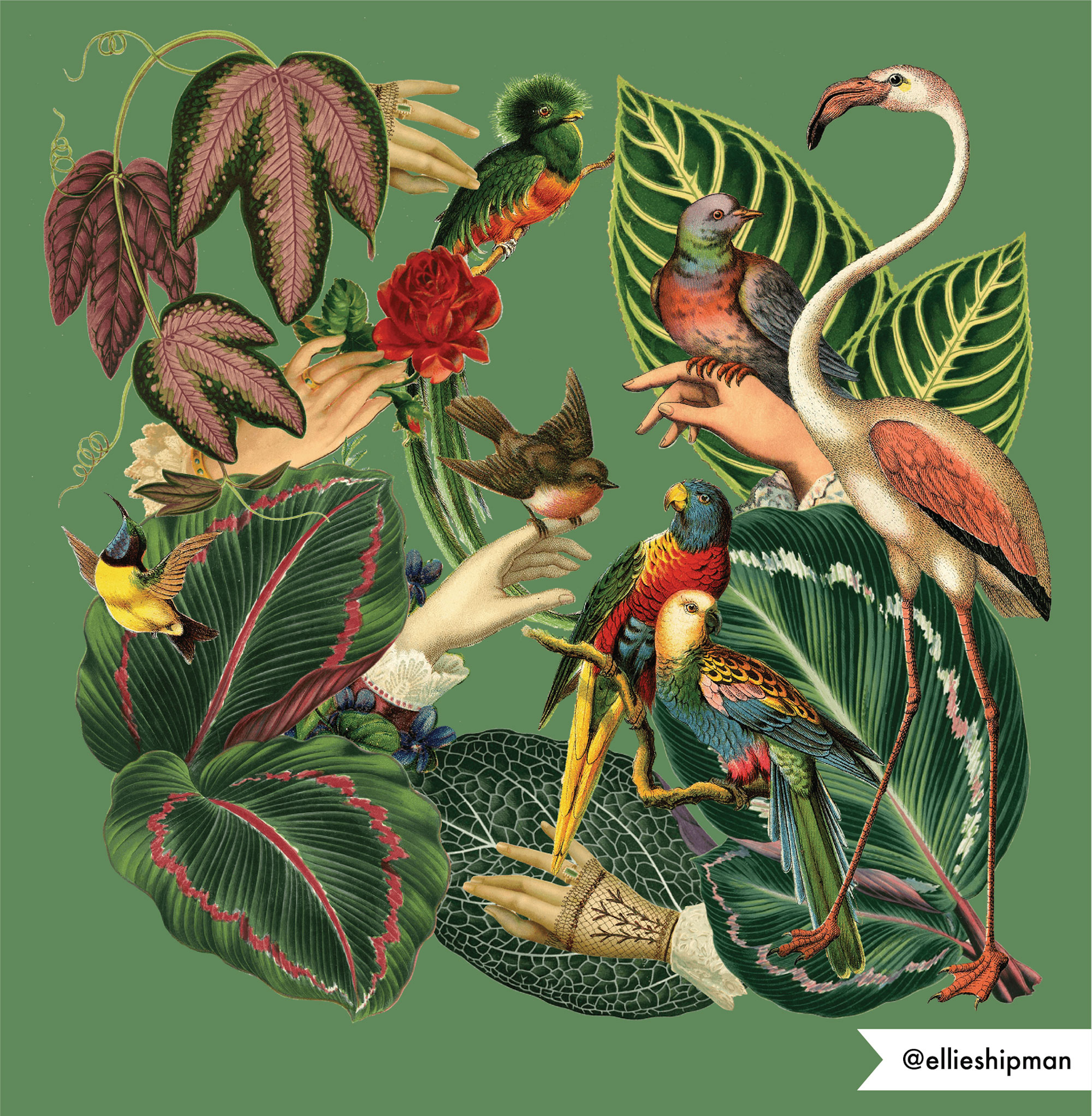 Illustrated Textiles: Class Project Example - image 3 - student project