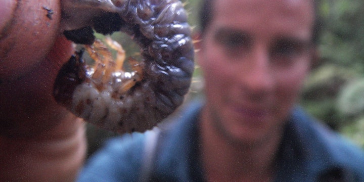 Man V Wild Guatemala scene