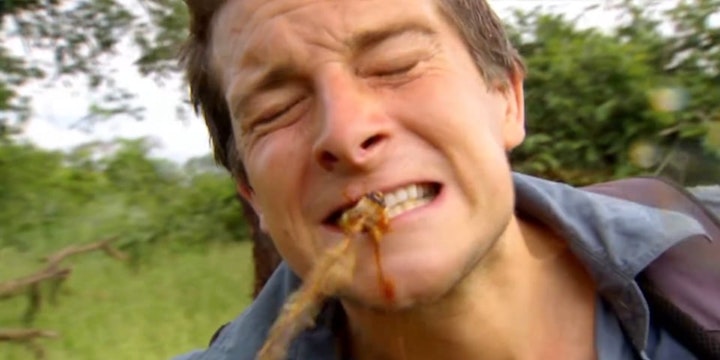 Man V Wild Zambia scene