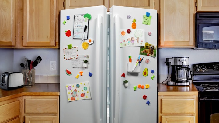 Food Lion  - Fill Your Fridge