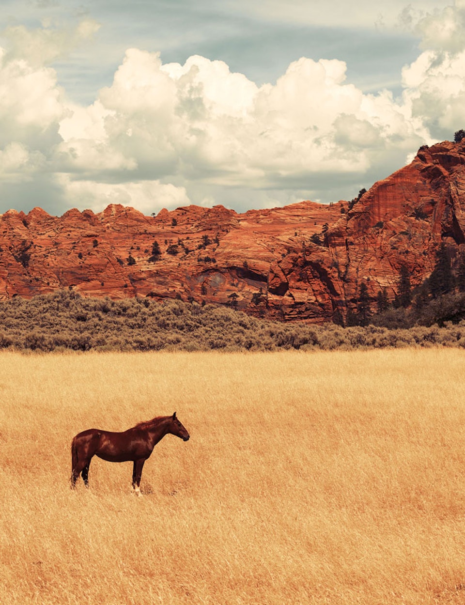 Limited Edition Prints Christine Flynn Art