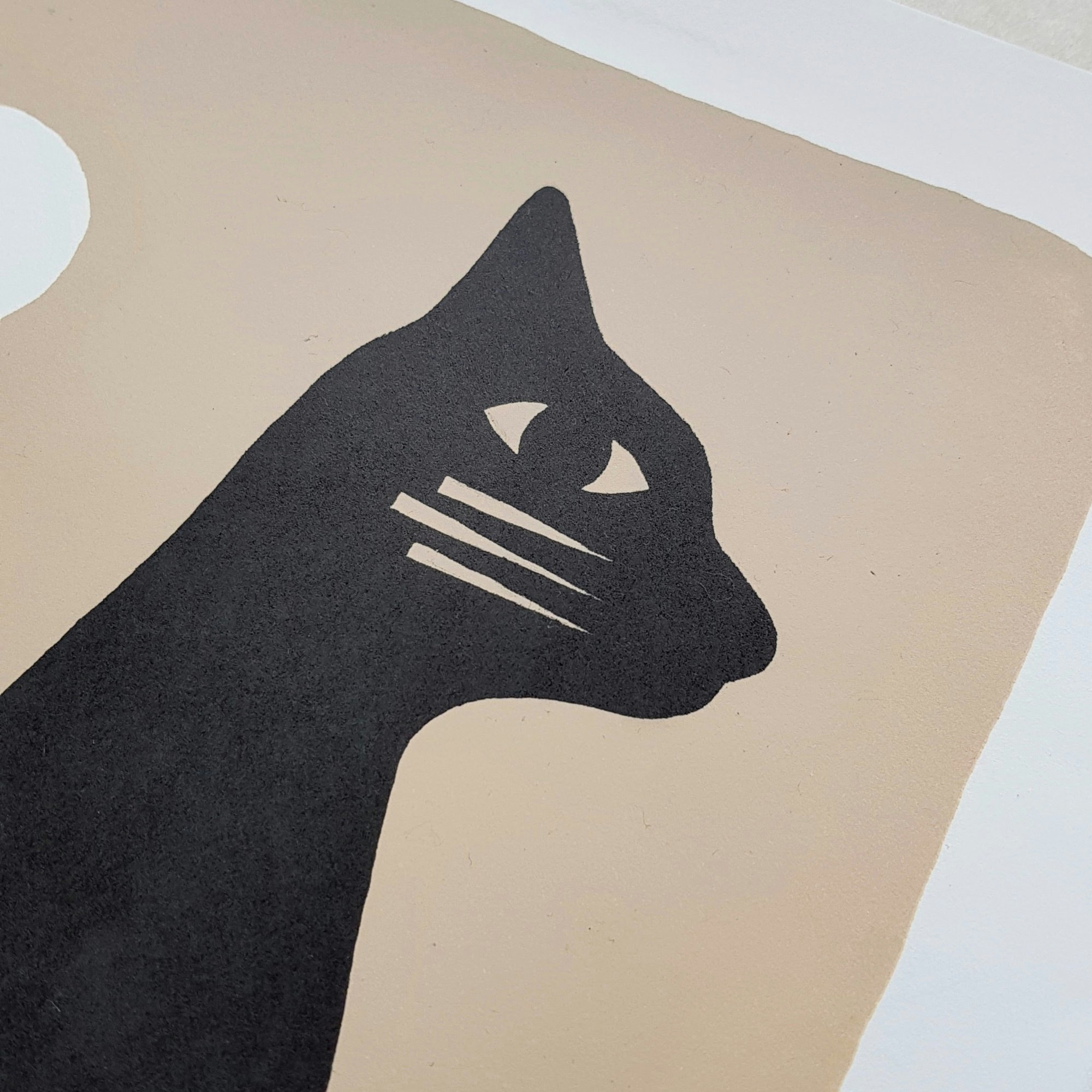 Chat Noir David Vanadia Artist Illustrator Chat Noir David Vanadia Artist Illustrator