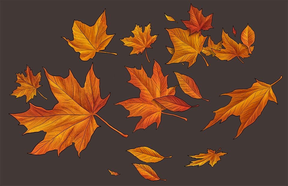 Halloween - Detail of the autumn leaves element.

Painted in Procreate on iPad Pro.