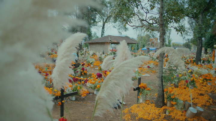 "Muerte Es Vida" Feature Documentary - 