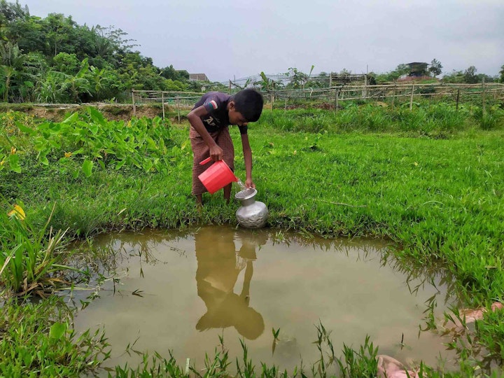 Image by Mohammed Hossain