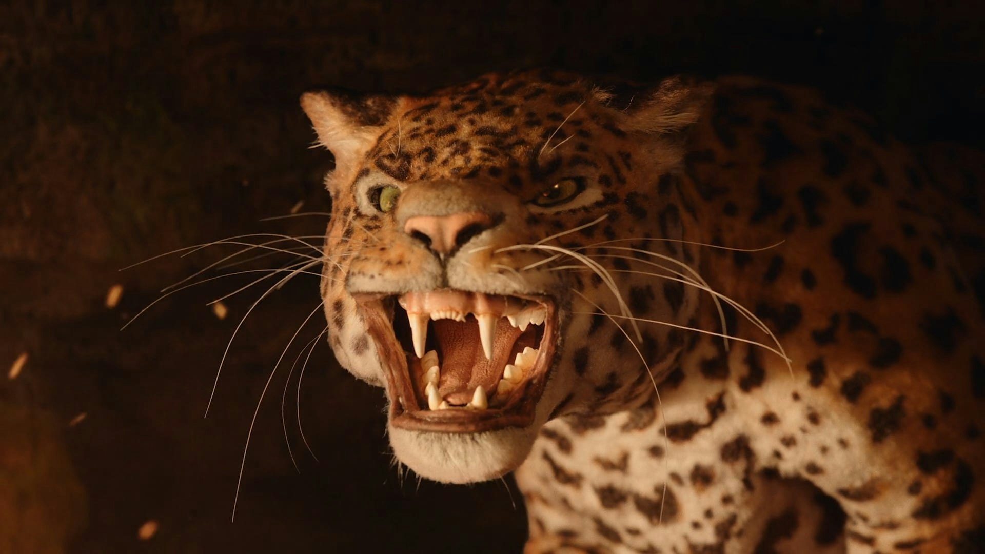 WWF - ADOPT A BETTER FUTURE