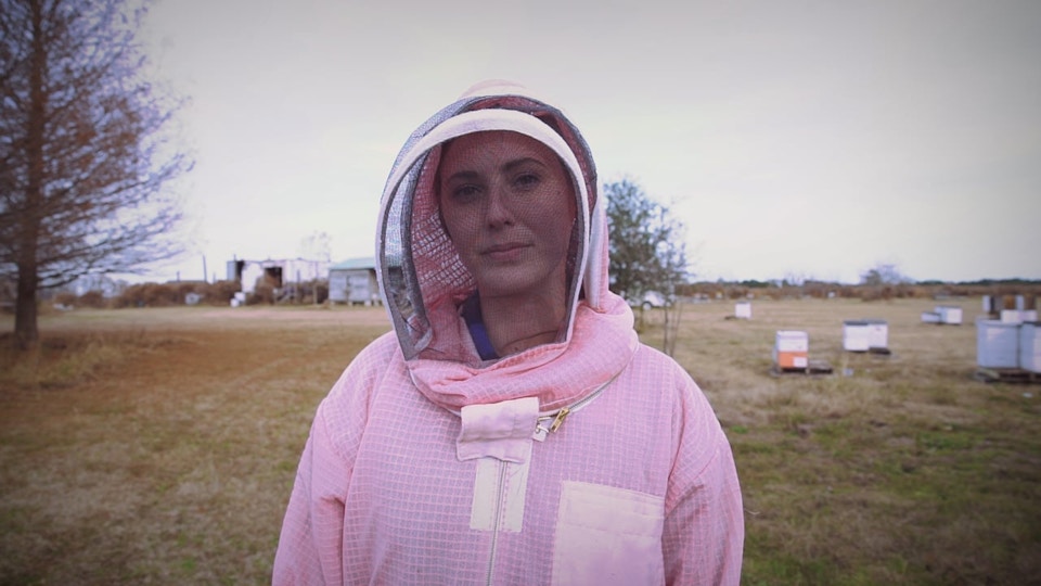 BBC - This Woman Will Put Bees in Your Office | Web Short