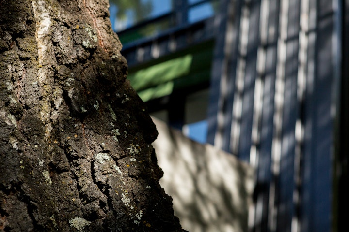 The Black House part one - The materials used in this residential build in Queenstown by Stacey Farrell Architecture complement the natural features of the established trees