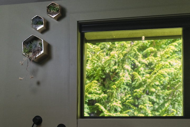 The Black House part two - The black tub and black bathroom were designed by Architect Stacey Farrell to immerse the owners in nature surrounded by trees at this home in Queenstown