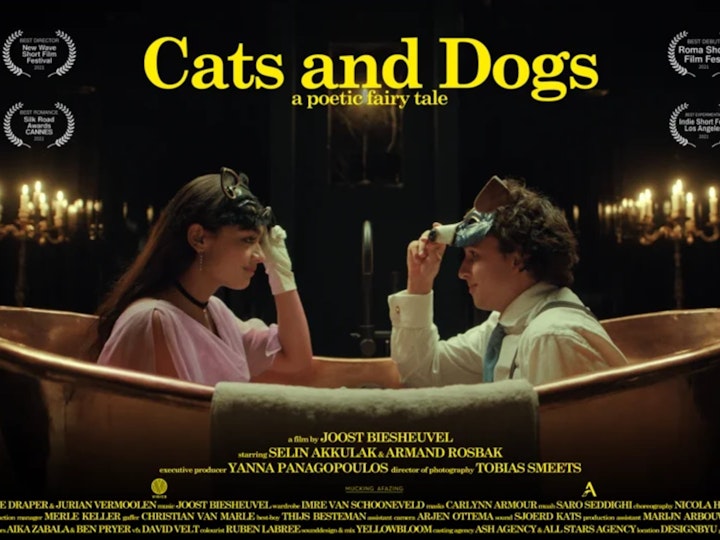 "Cats and Dogs" (Short Film)