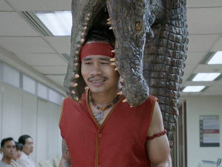 First Choice - Crocodile