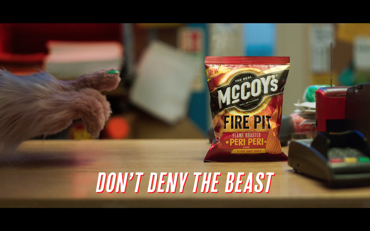 McCoys - The Beast