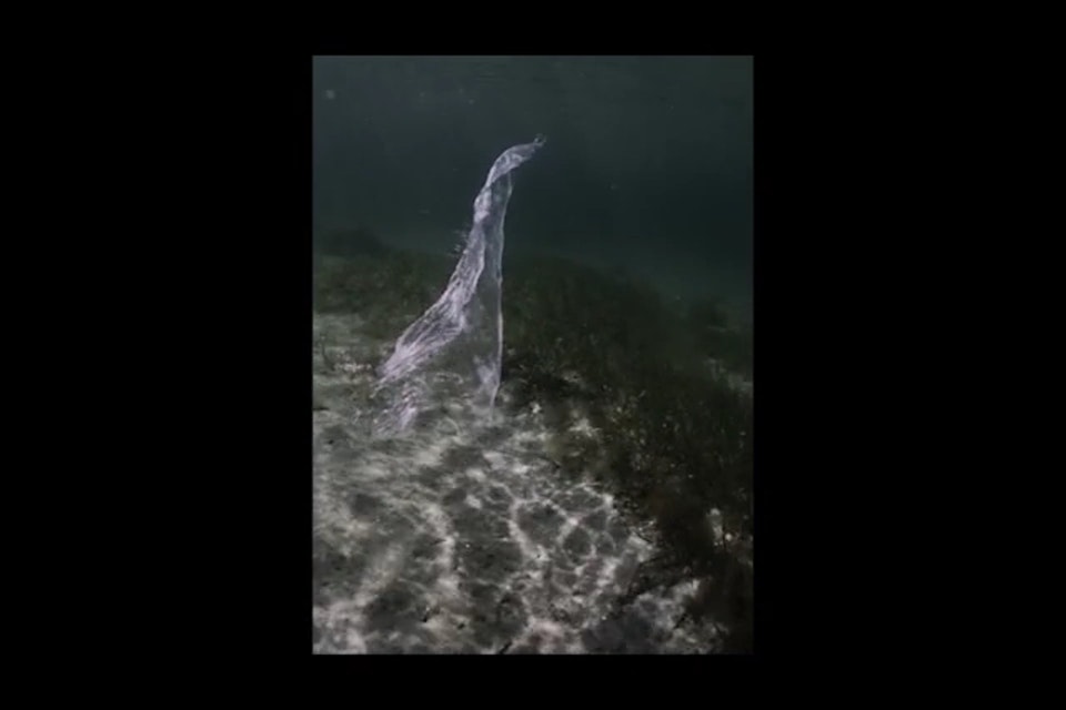 Films - Weave under water,  2018. 1.08 min.