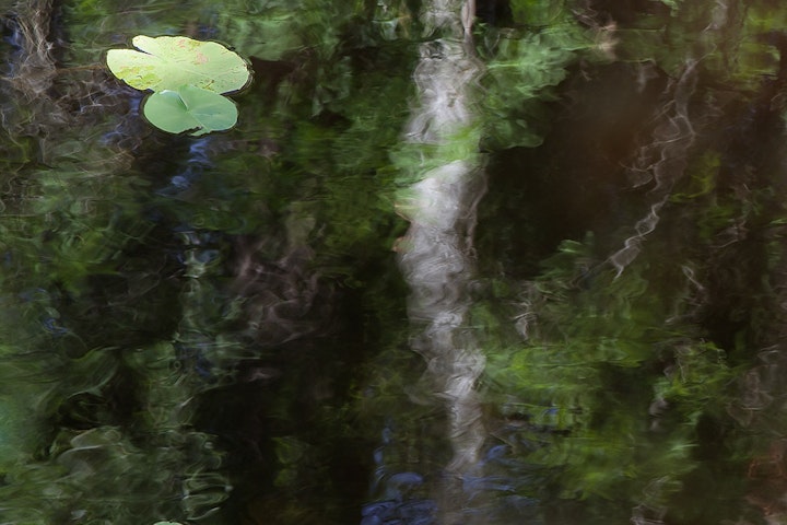 Landscapes - Björkspegel / Birch reflection
               60x170 cm