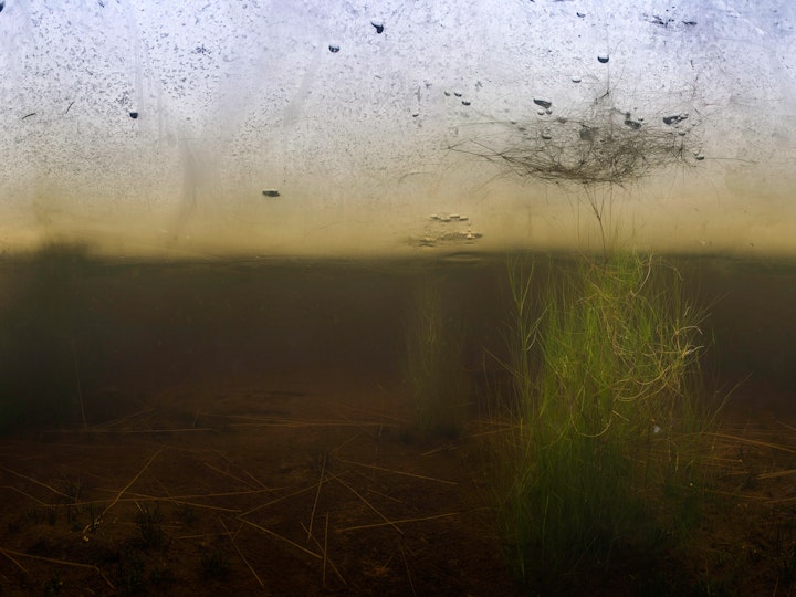 Ur mylla och is II / Ground and ice II
                  101x160cm