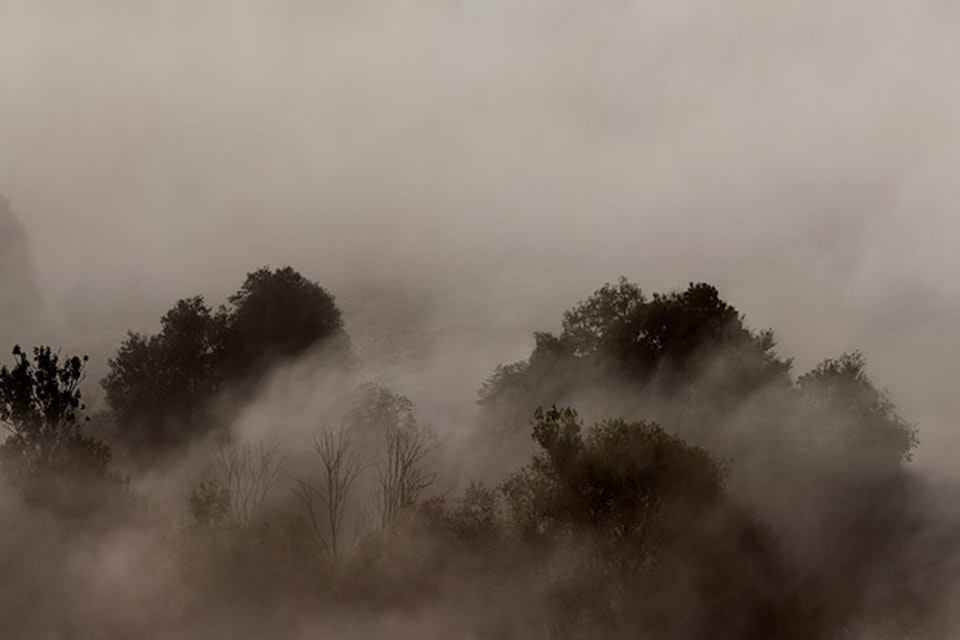 Landscapes - Dimma / Morning mist
          38x200 cm