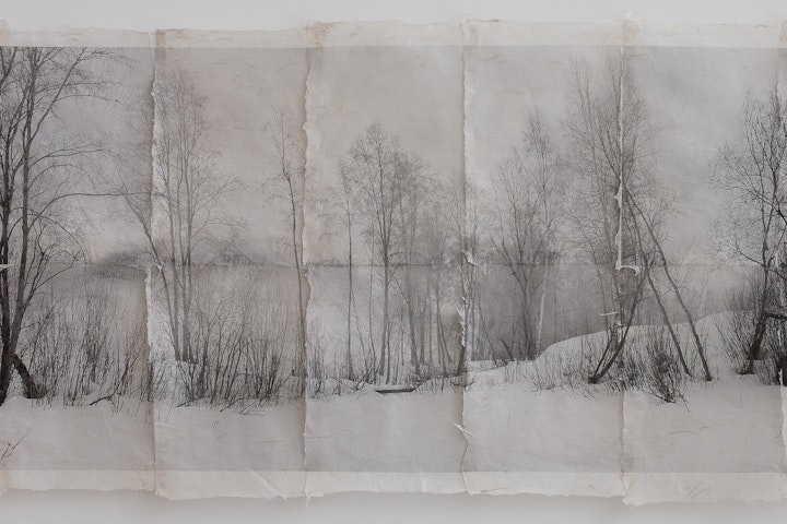 Landscapes - Wintertrees - Montage printed on handmade kozo paper. 65x140 cm