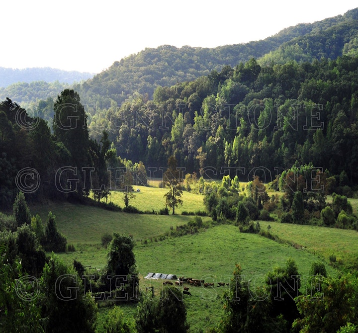 Davis Creek Valley 01-small