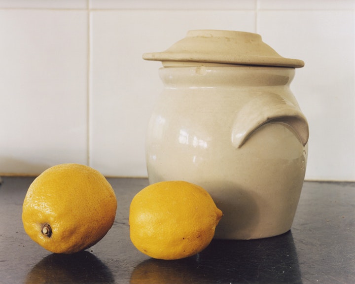 Nature morte avec deux citrons, 2004 (47x60cm)