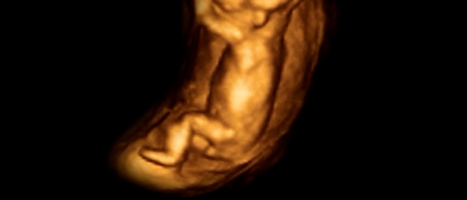 Life Before Birth (In the Womb) - C4/Nat Geo - BIRTH2steppingreflex