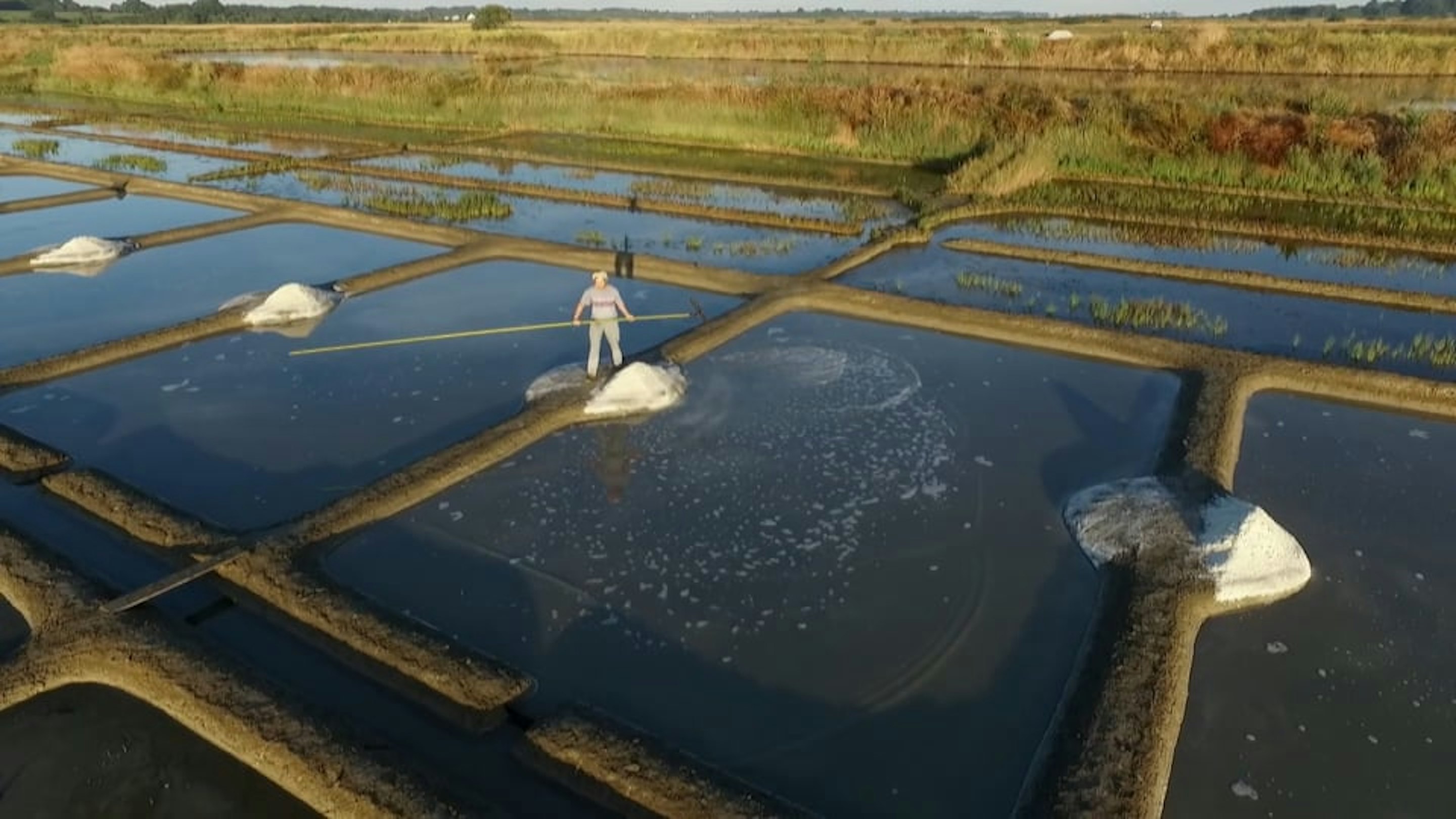 The Secrets Of Your Food Bbc2 Toby Macdonald The Secrets Of Your Food Bbc2 Toby Macdonald