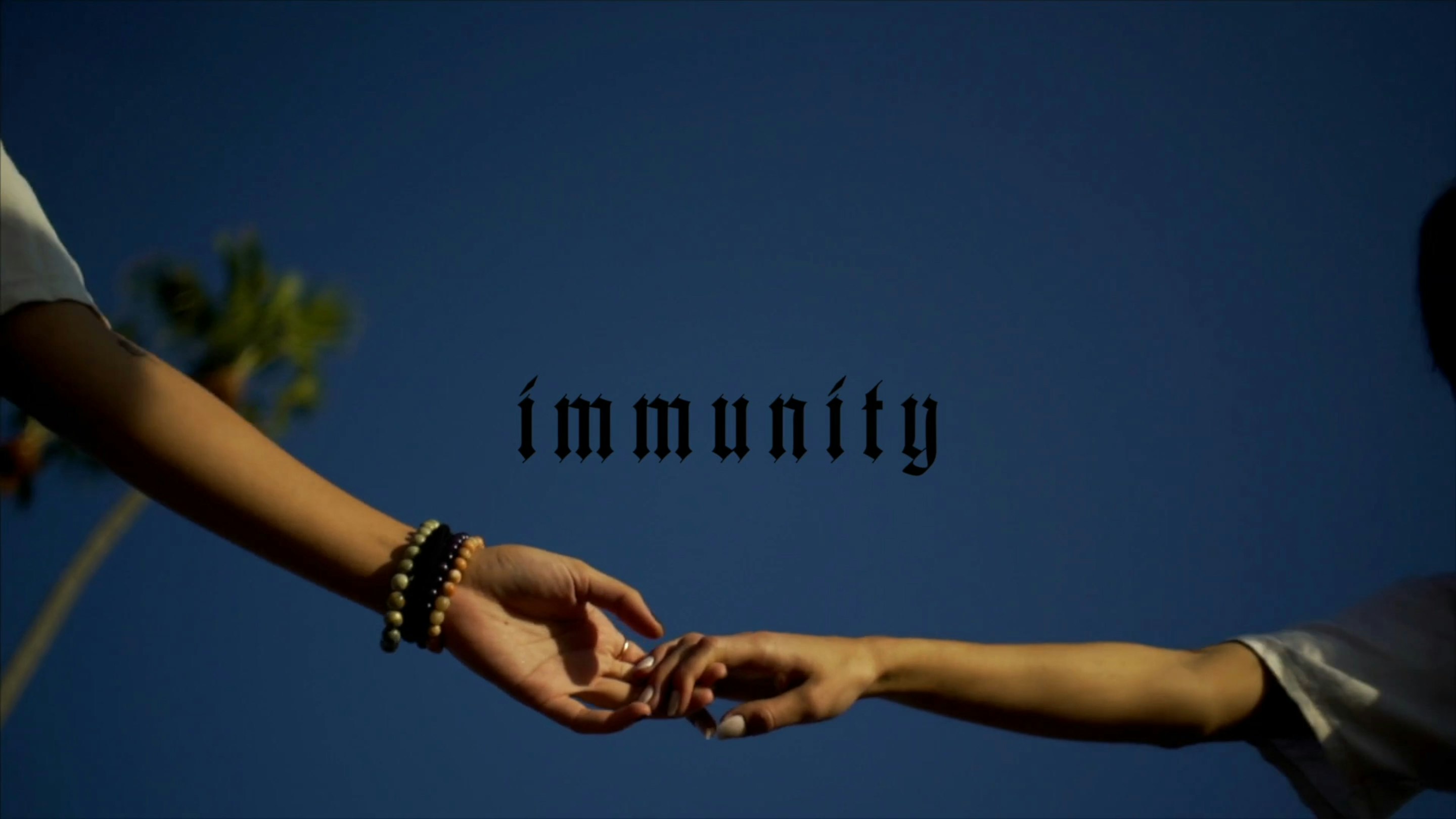 IMMUNITY by Boldizsar CR