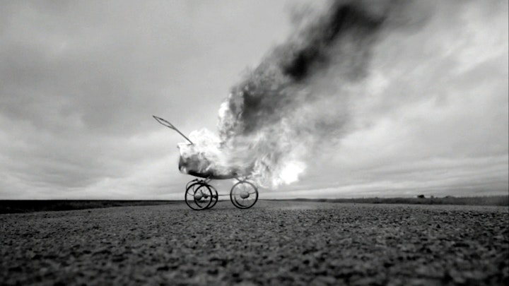 Alpha Rev "New Morning"