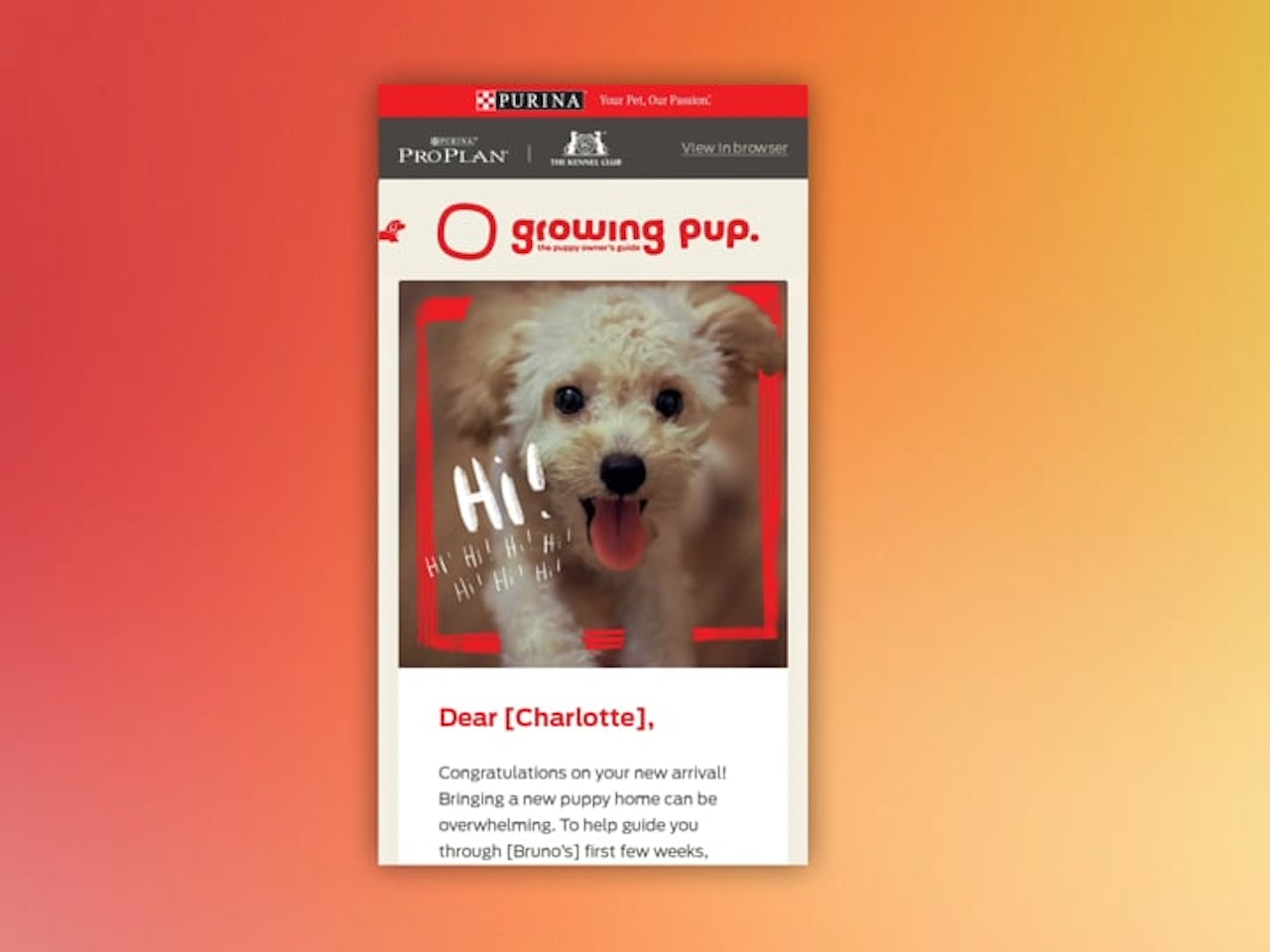 Growing Pup Dog Animation