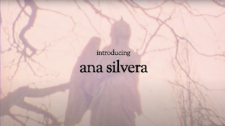 Ana Silvera - 'The Aviary' (2012)