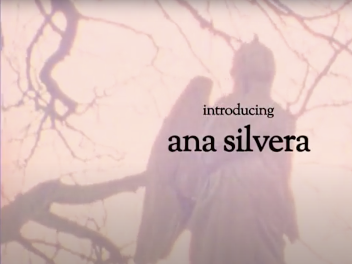 Ana Silvera - 'The Aviary' (2012)