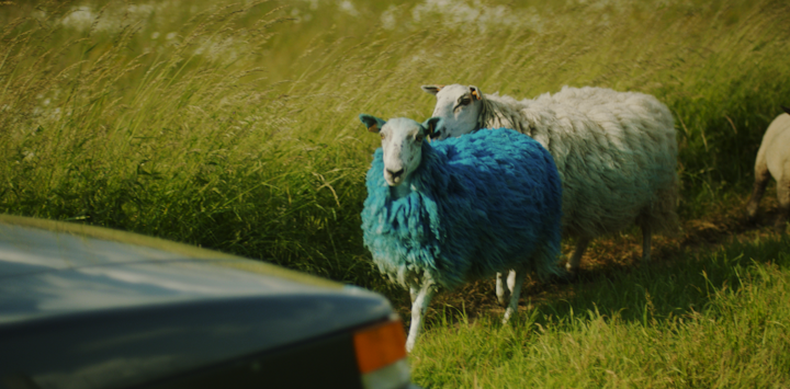 BERT DEGRAEVE - Schermafbeelding 2022-02-10 om 14.16.20