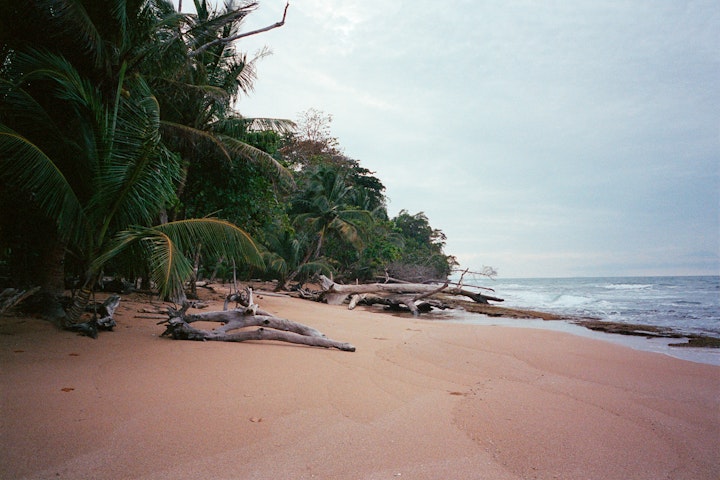 Bocas Del Toro 2006