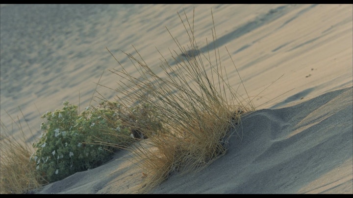 Sun & Shadow stills _2.1.29.T -