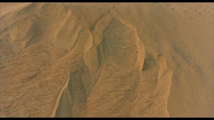 Sun & Shadow stills _2.1.18.T -