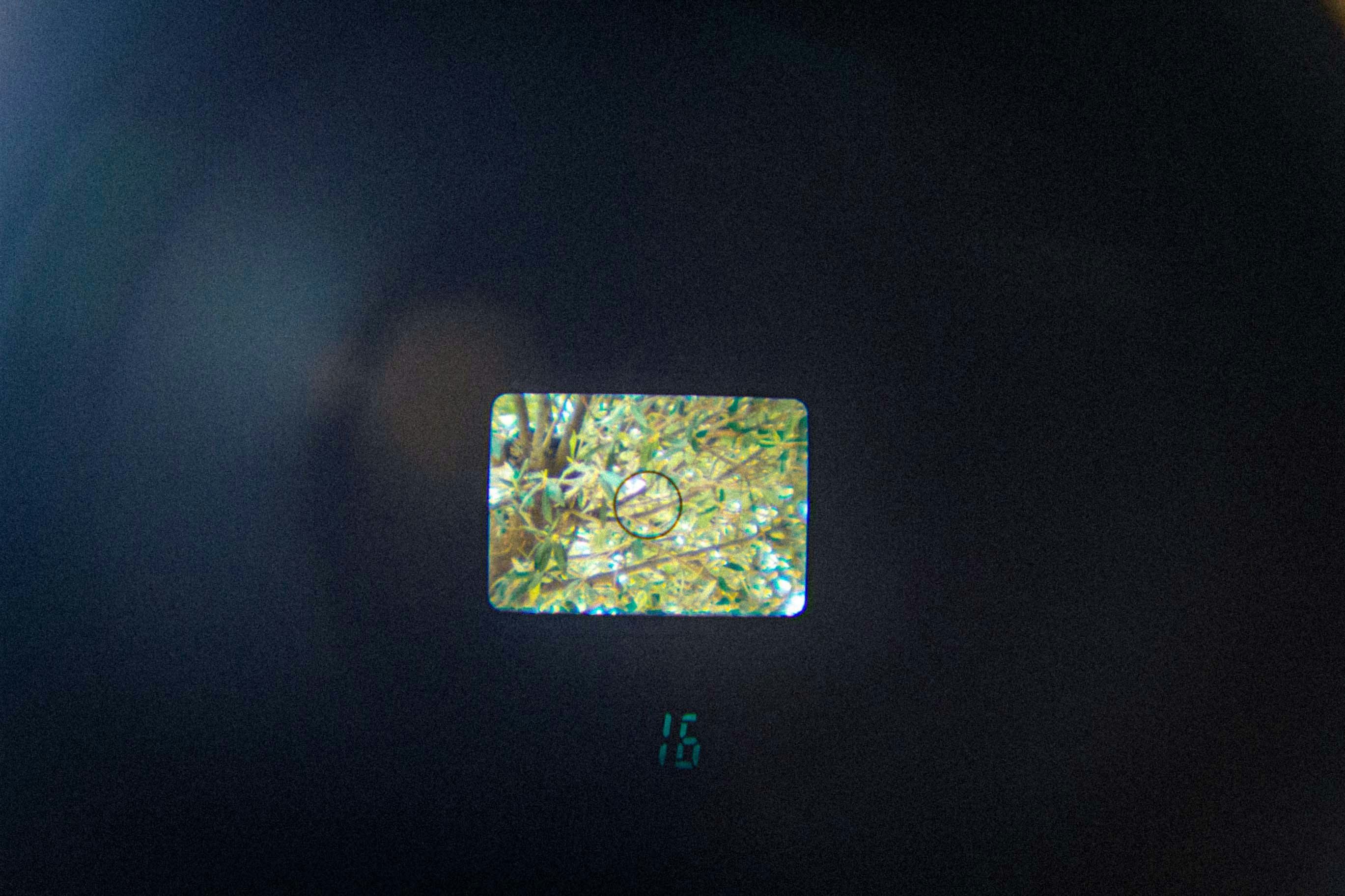 Sekonic Light Meter - Spot metering