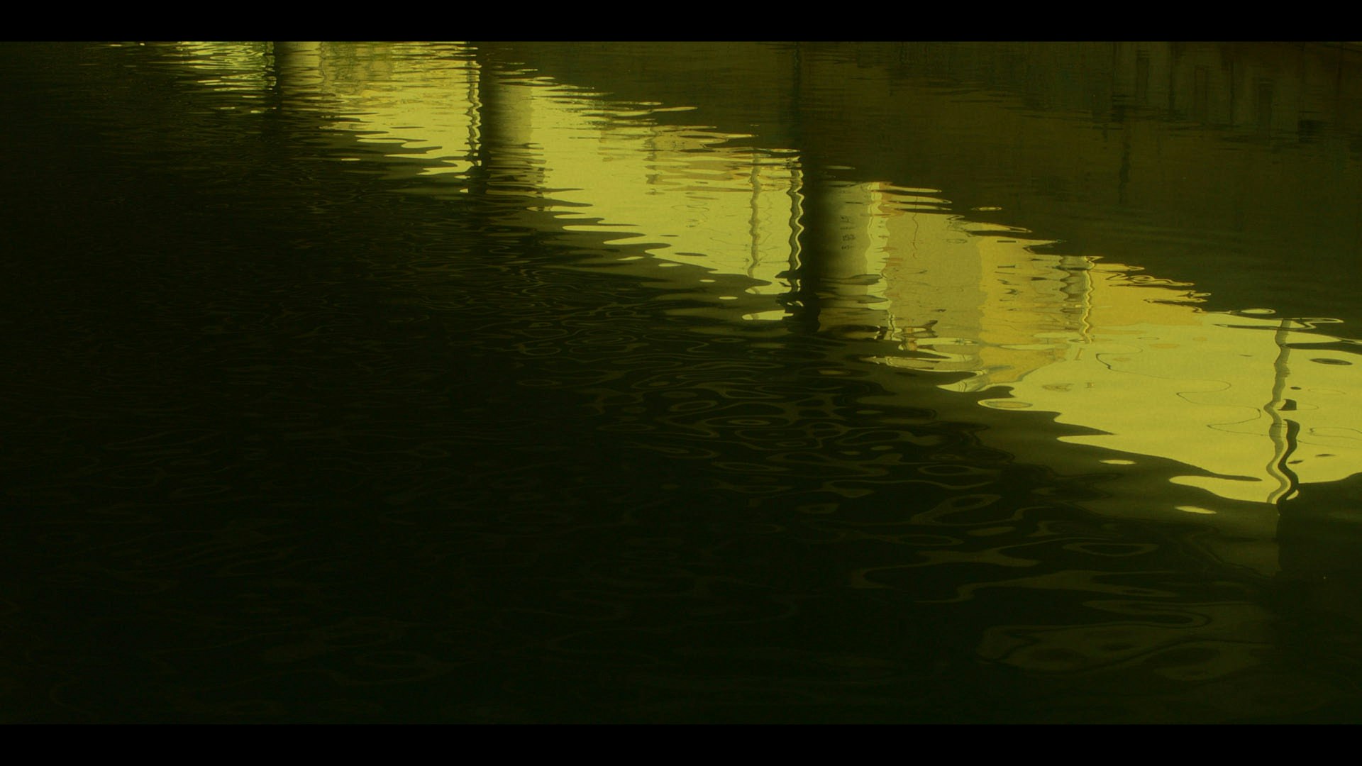ECDYSIS still