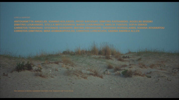 Sun & Shadow stills _2.1.32.T -