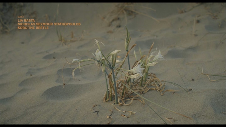 Sun & Shadow stills _2.1.30.T -