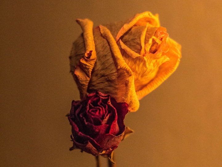 La Liqueur et Le Pastis