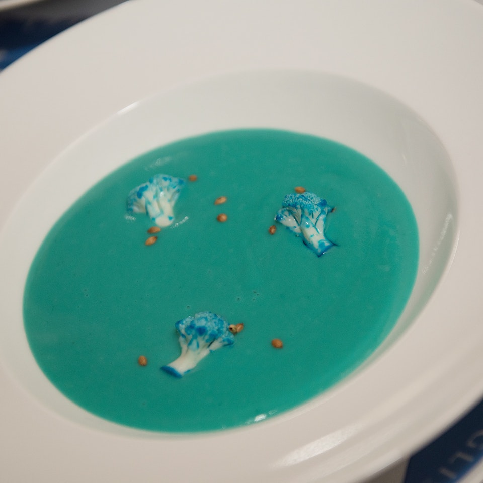Blue Plaque plates launch, Freud Museum blue soup lo res