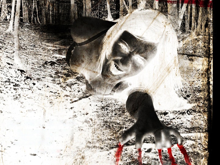 A Night in the Woods