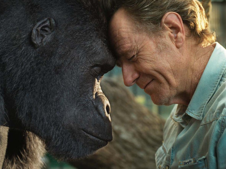 The One and Only Ivan