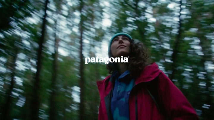 Patagonia - Land