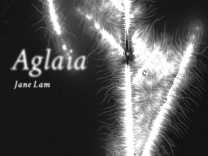 Jane Lam: Aglaia