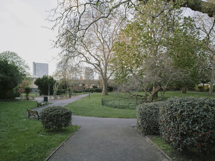 The Holly and the Evelyn