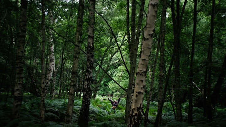 Adidas x LN-CC X Y-3 | Disappear