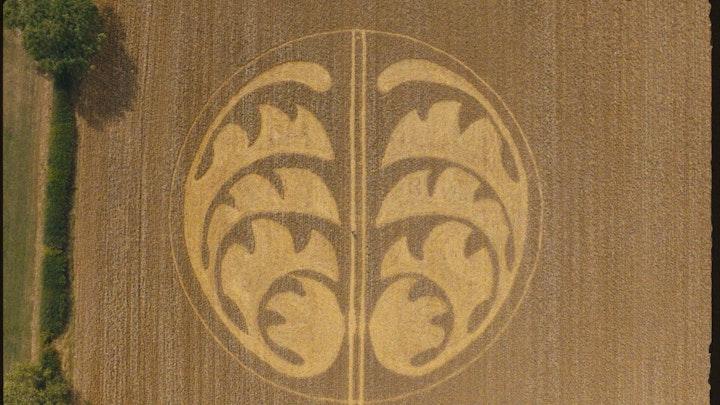 Ffern | The Search For Autumn