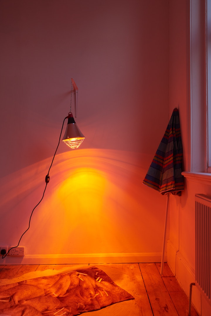 202306_Carolin Meyer1448